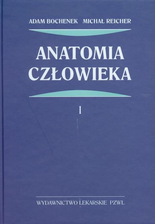 

Anatomia człowieka Tom 1 Bochenek Adam, Reicher Mi