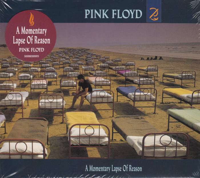 

Pink Floyd A Momentary Lapse Of Reason CD
