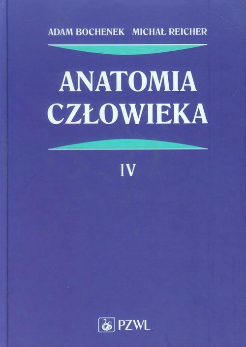 

Anatomia człowieka Tom 4 Bochenek Adam, Reicher Mi