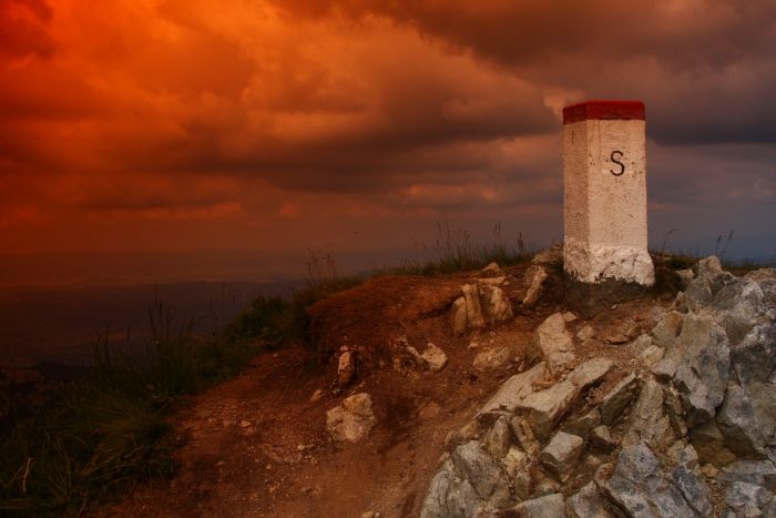 Filtr pomarańczowy tabaczkowy POŁÓWKOWY na 37mm 37 Marka Seagull