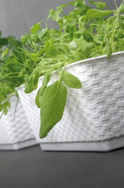 4x Skrzynka balkonowa ISR700P Doniczka 70cm Marka Prosperplast