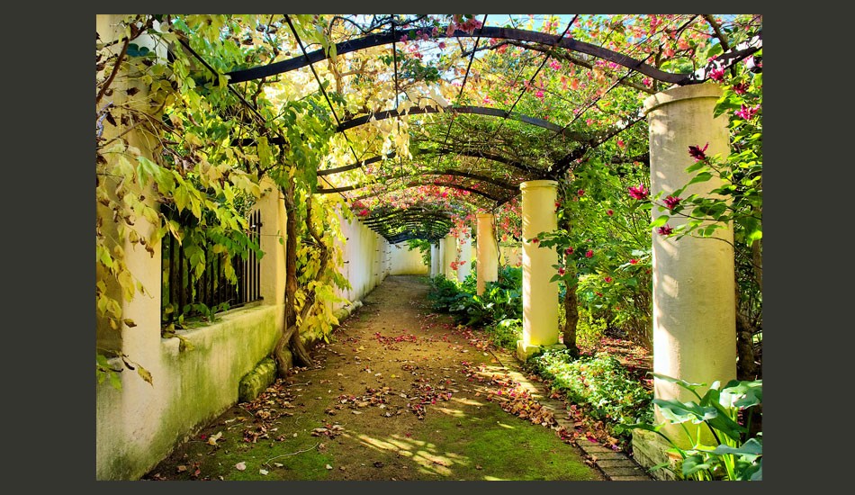 Fototapeta - Pergola uliczka wiejska 350X245cm Wysokość produktu 245 cm