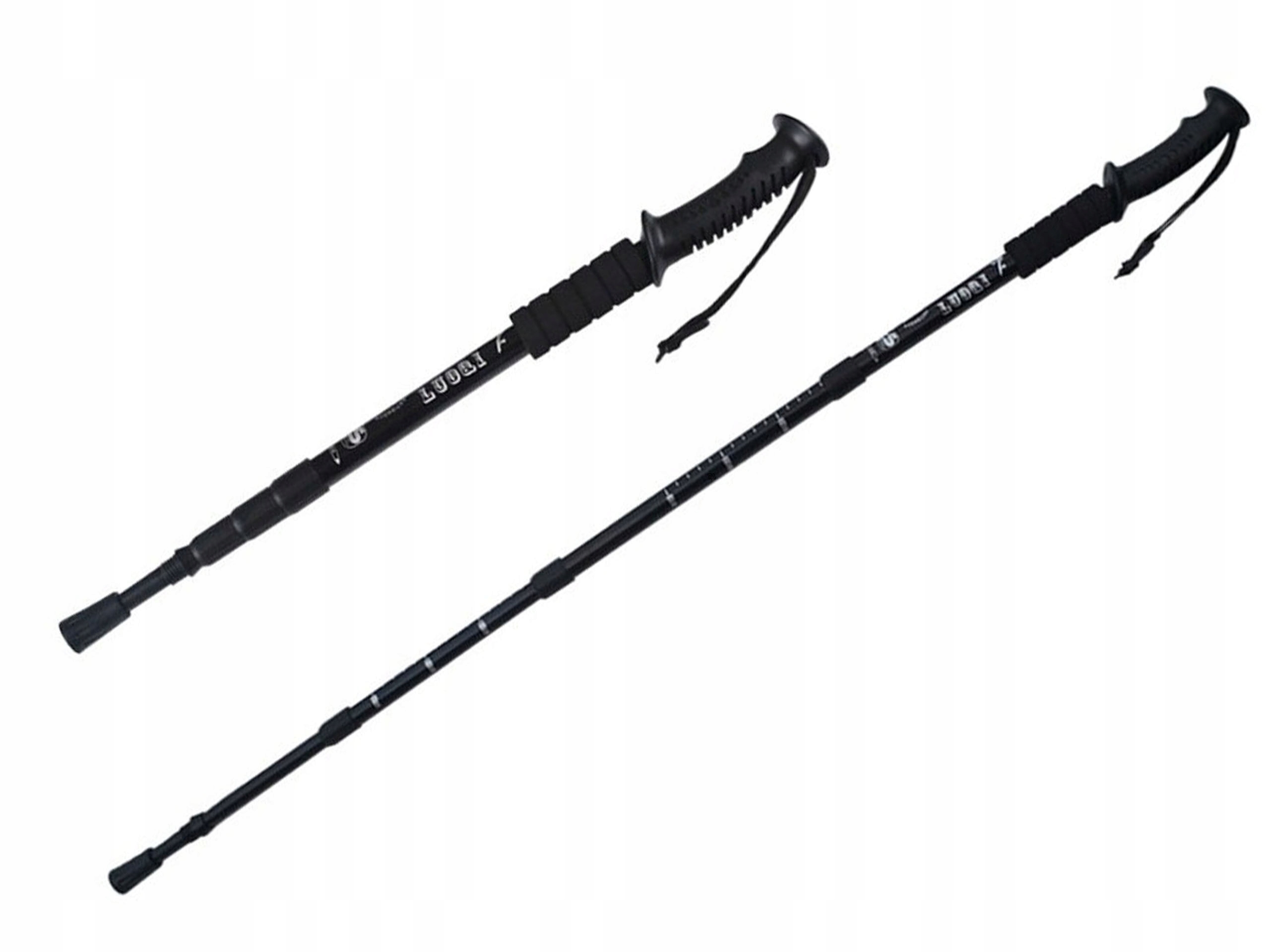 Nordic Walking Kijki Kij Do Chodzenia Kije Kompas