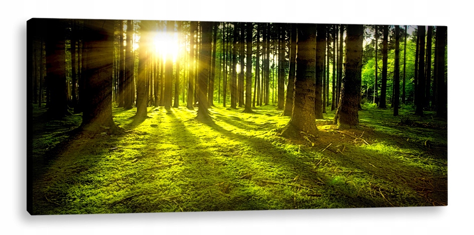 Led Obraz 150x70 podsvícený Sluneční Světlo