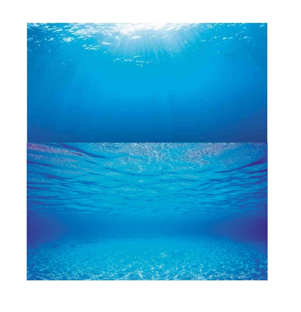 

Juwel Fototapeta Tło Do Akwarium 150X60CM Dwustron