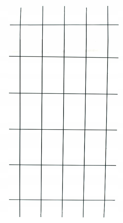 

Podpora Krata do roślin pnących 150x75cm Metal pow
