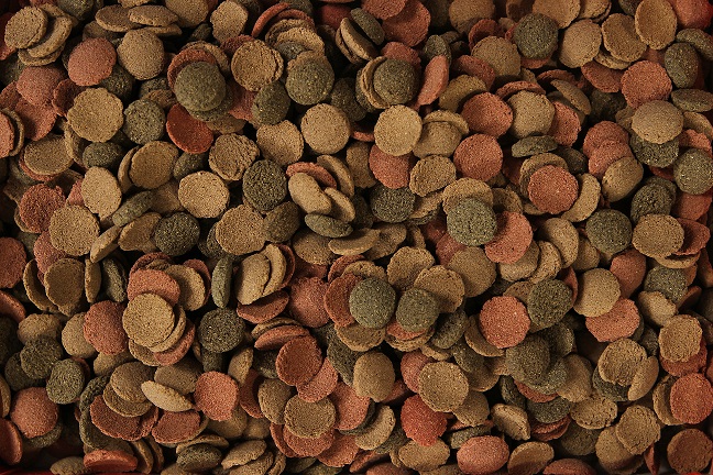 Glopex Small-wafers Krmivo Pro Ryby Se Spirulinou A Špenátem Krmivo 1 Kg