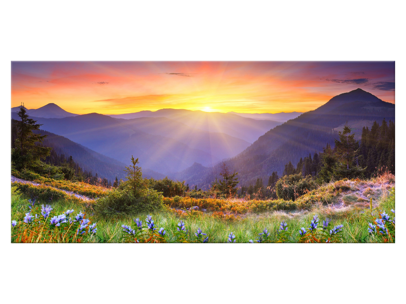 

Obraz na ścianę Łąka Łąka w górach 115x55 łąka