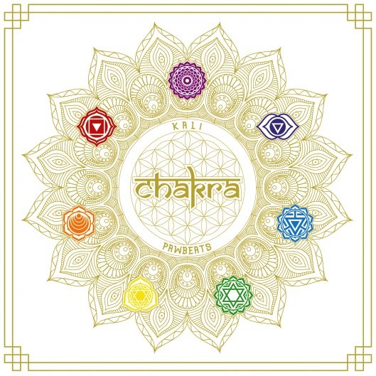 Kali x Pawbeats Chakra