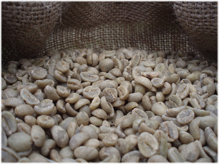 Palarnia Kawy W&A - Etiopia Yirgacheffe 1000g EAN (GTIN) 5904204441513