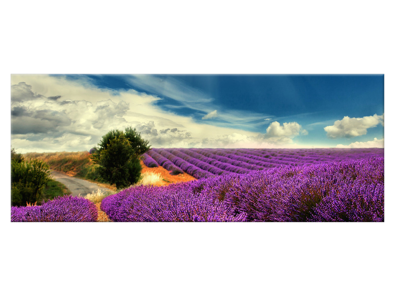

Obraz Lawendowy krajobraz Niebo 100x40 1382A_1I