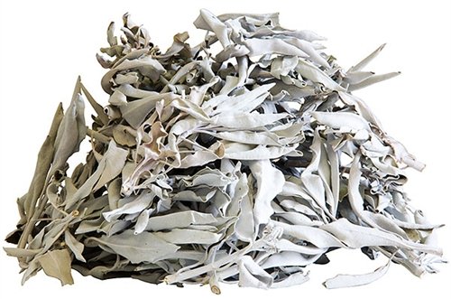 

Biała szałwia Salvia Apiana 100g