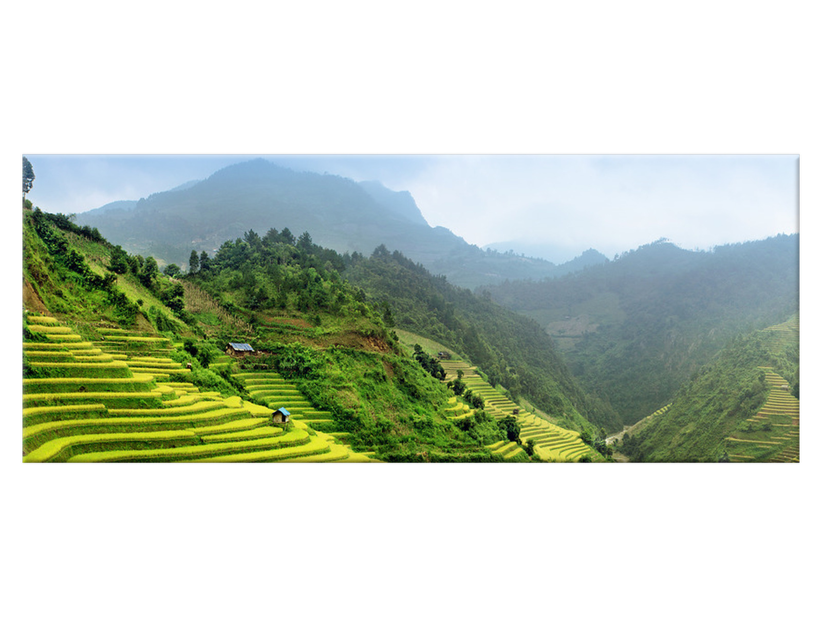

Obraz Pola ryżowe Mu Cang Chai 100x40 2241A_1I