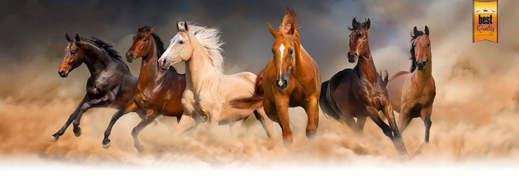 SZCZOTKA DO PIELĘGNACJI GRZYWY I OGONA KONIA Kod producenta 11111