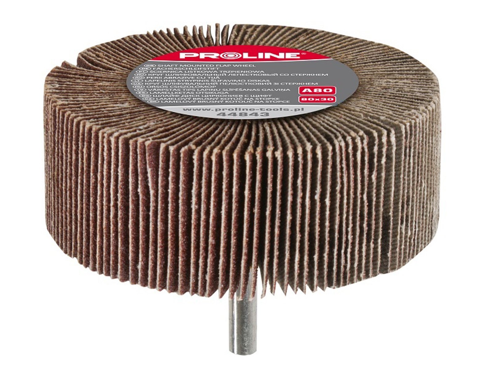 

Proline Trzpieniowa ściernica listkowa 80x30 g 80