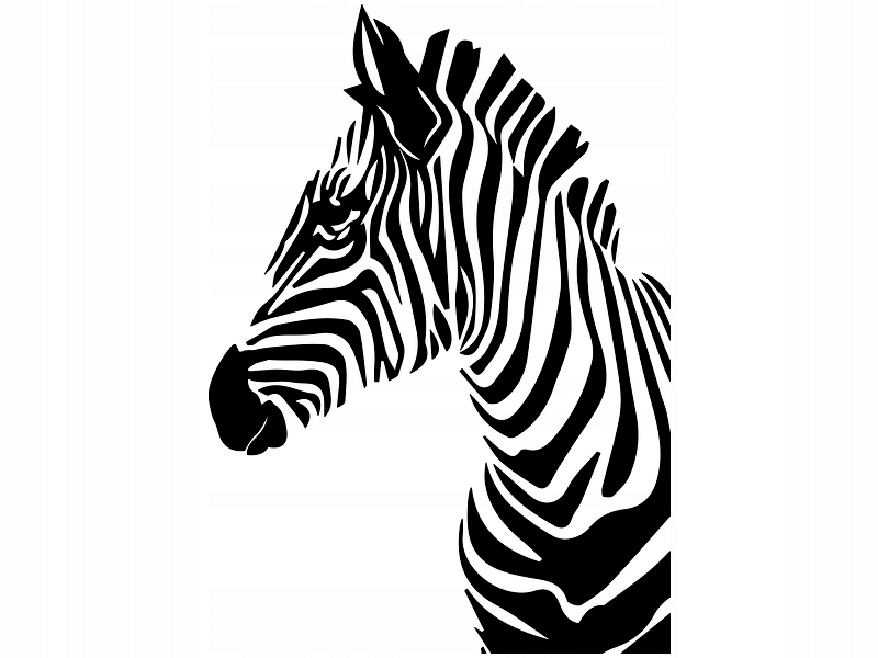 

Naklejka dekoracyjna na ścianę Zebra 147 cm