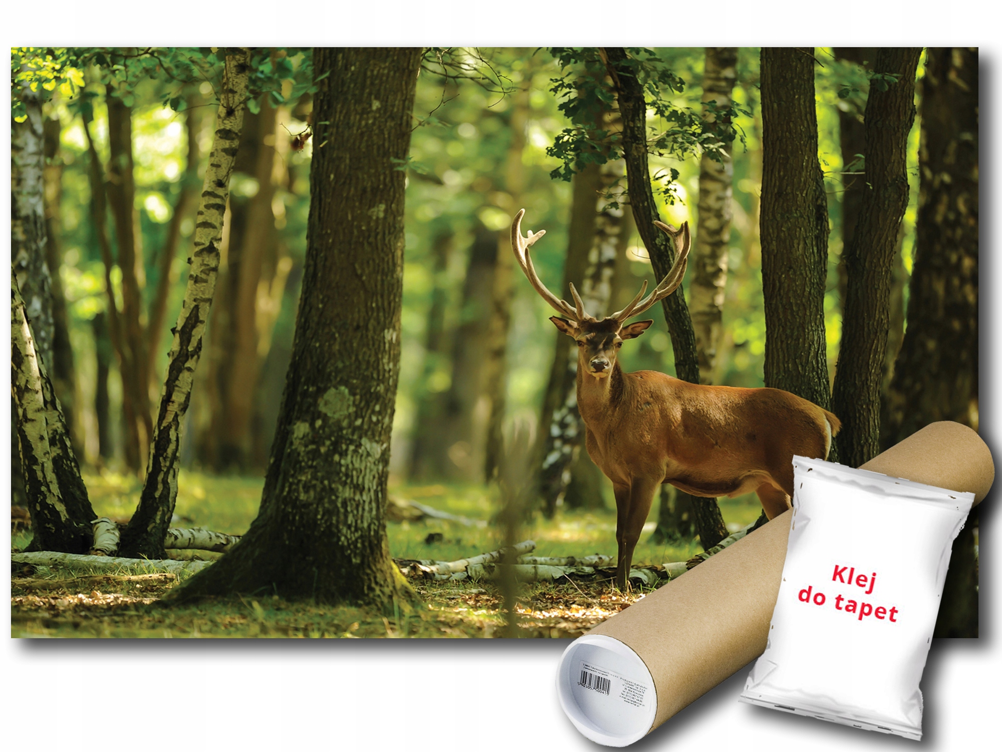 Fototapeta Les Jeleň 19A F2XL 312x219 F2287