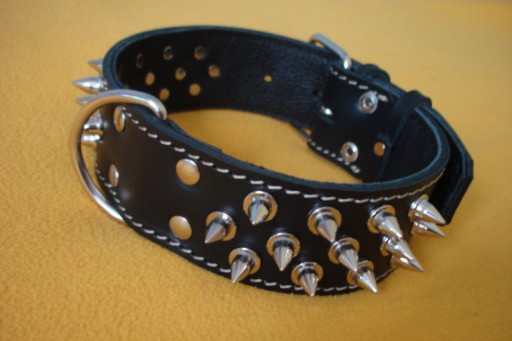 Obroża Skórzana Z Kolcami 5cm/65cm Jakość!