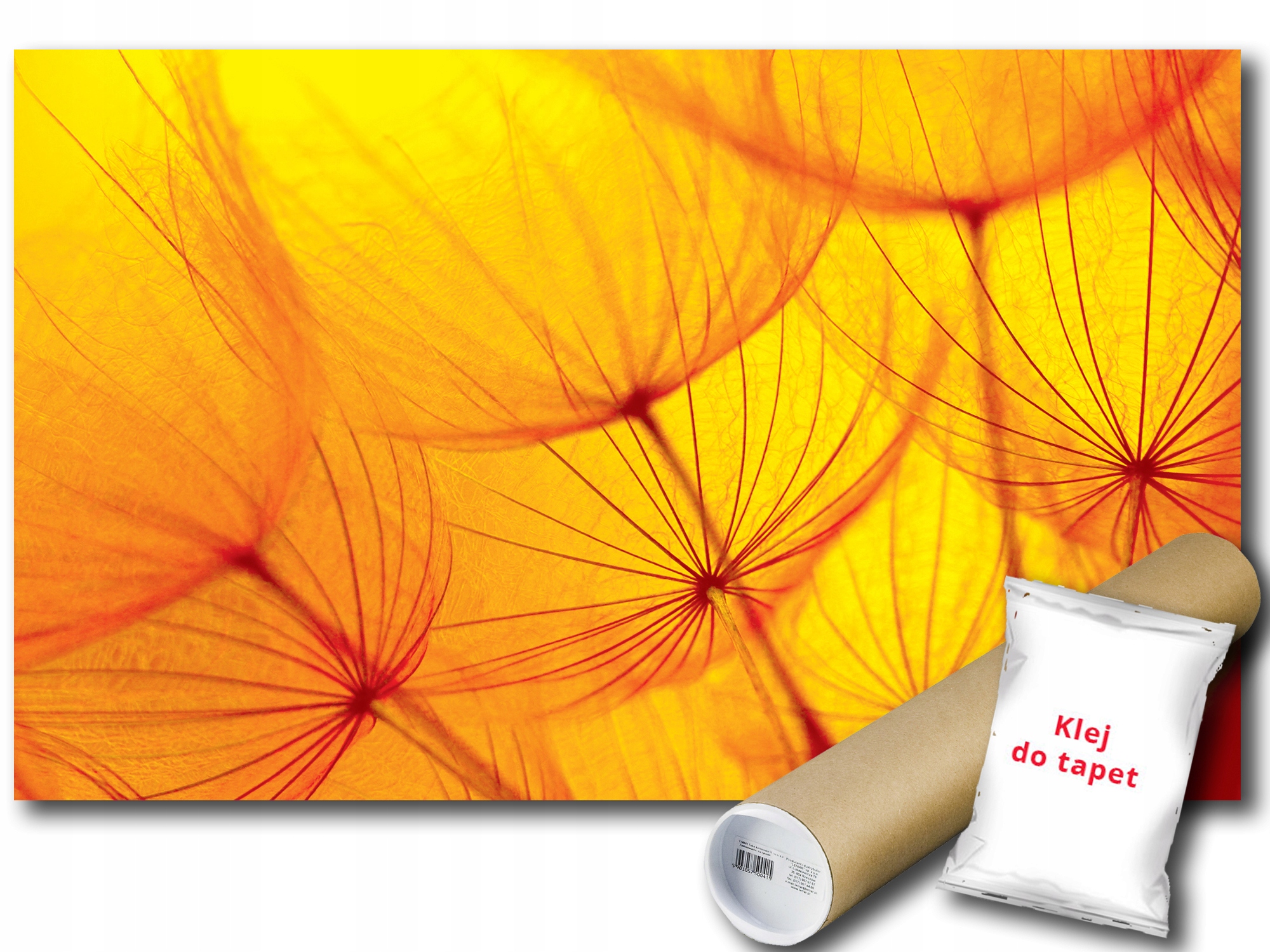 Fototapeta Dúchadlá Kvety 9A F2XL 312x219 F583