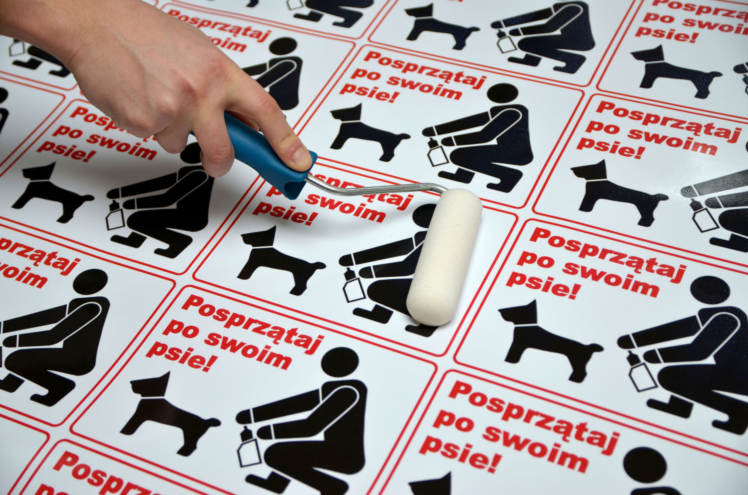 tablica ZAKAZ PARKOWANIA DROGA PRYWATNA 30X21 Marka WielkieRzeczy