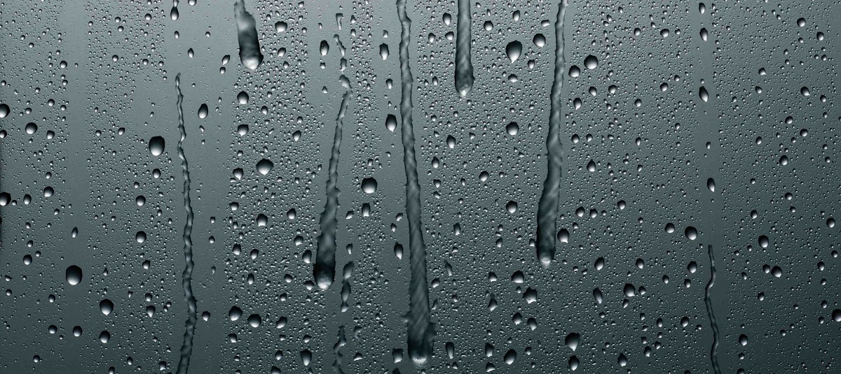 6736cbe0461894599e81ff4e4b33