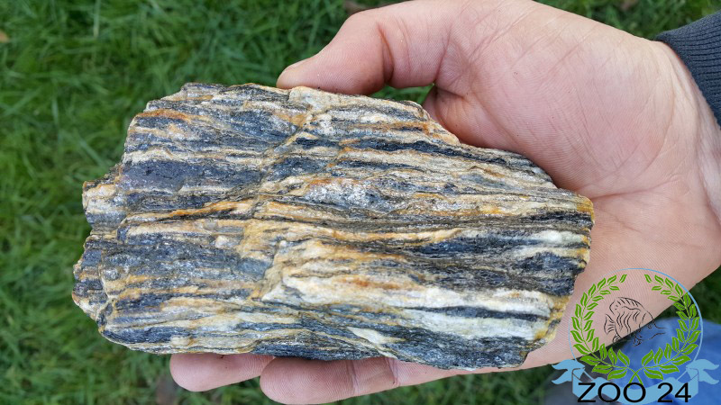 Piękny kamień naturalny lupek ozdobny kora Rodzaj łupek