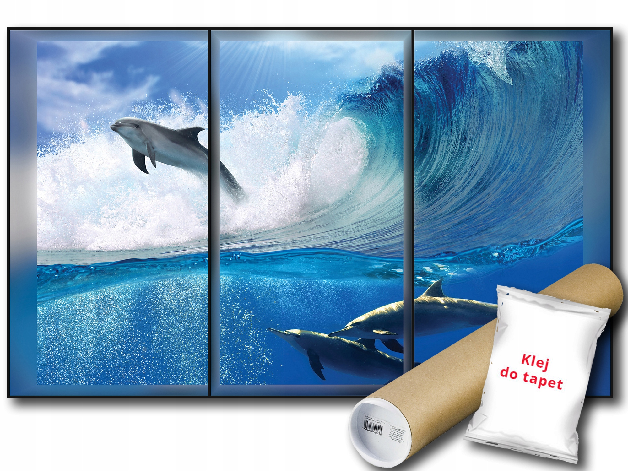 

Fototapeta Widok Na Delfiny 18A Fl 152x104 F496