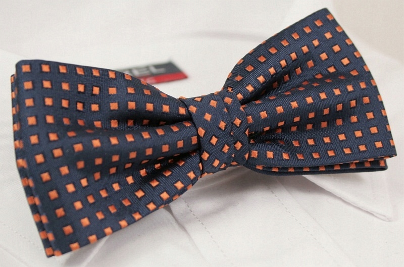 Elegancka mucha z poszetką - ALTIES Marka inna