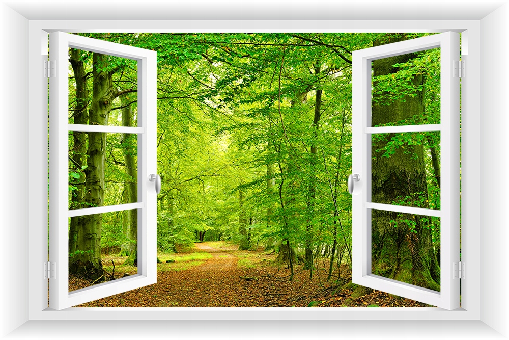 

Fototapeta Okno 3D Las Drzewa Droga Widok 150x100