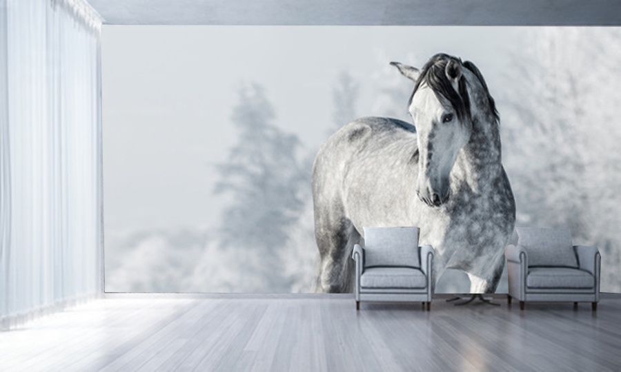 

Fototapeta 3D Koń Konie Zwierzęta Krajobraz Natura