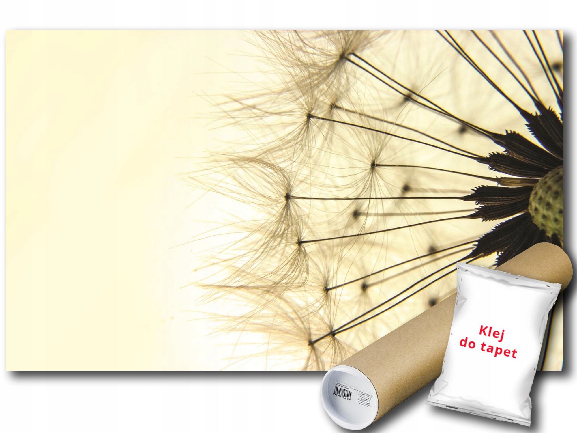 Fototapeta Pampeliška 9A Fxl 208x146 F1026