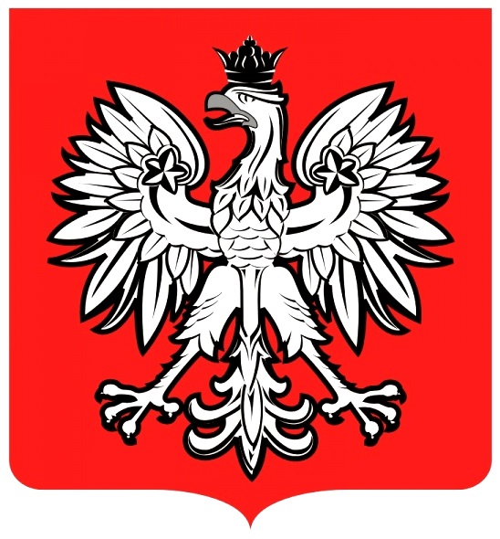 Орел на гербах государств. Герб Польши двуглавый. Одноглавый Орел герб. Польский двуглавый Орел. Белый Орел герб.