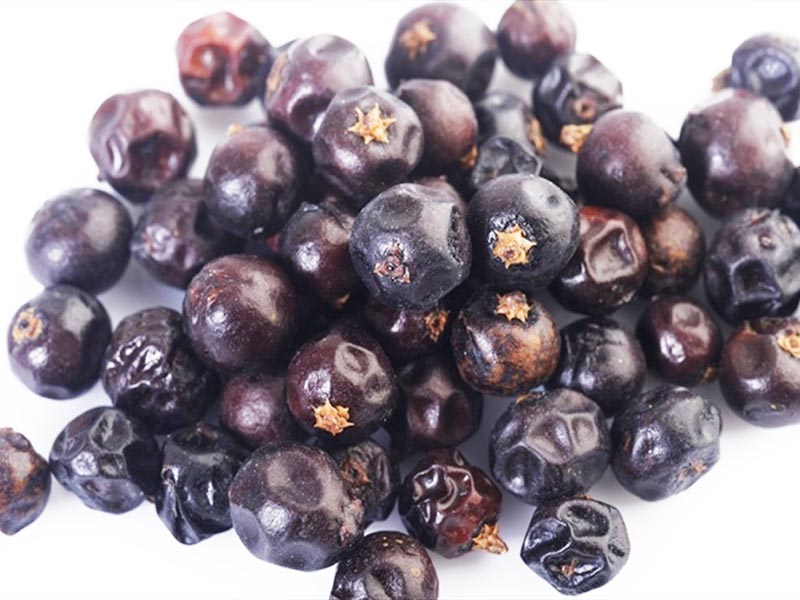 Levně Jalovec Celý Ovoce 2 Kg Jalovcové Bobule Velkoobchod Loď