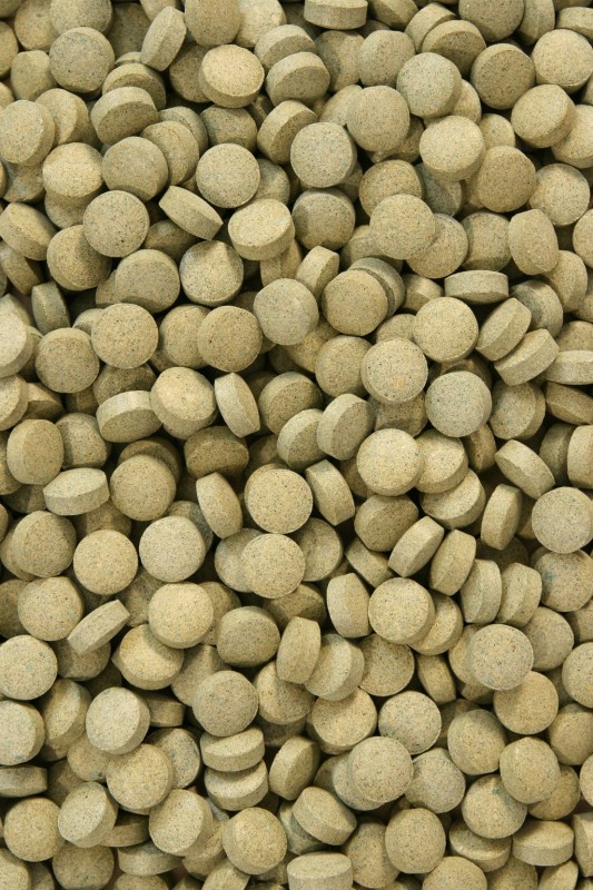 Levně Krmivo Pro Ryby Mini Algentablet S Spirulinou 10% 1000 G Krmivo Pro Ryby