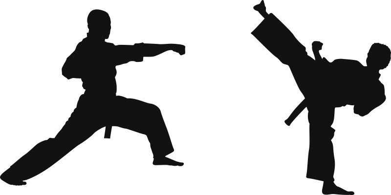 

Naklejka na ścianę Sport Sztuki walki karate 140cm