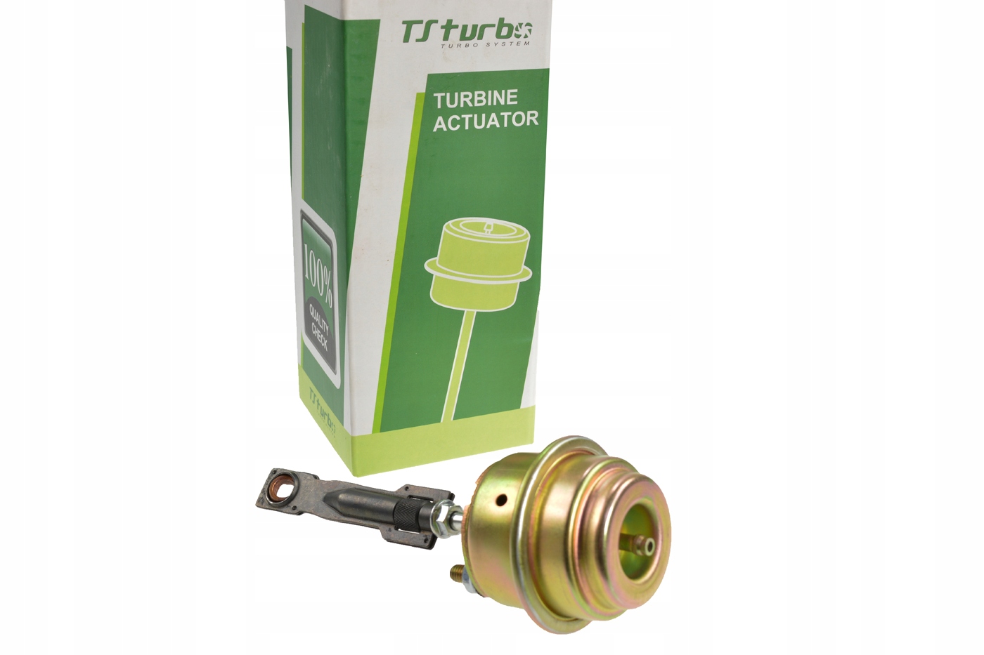 GRUSZKA ZAWÓR TURBINY 1.9 DCI 120KM F9Q GT1741V