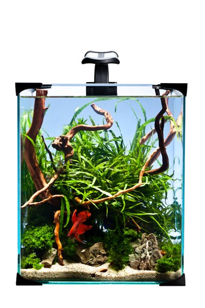 ZESTAW AKWARIUM DIVERSA NANO LED 10L KREWETKARIUM