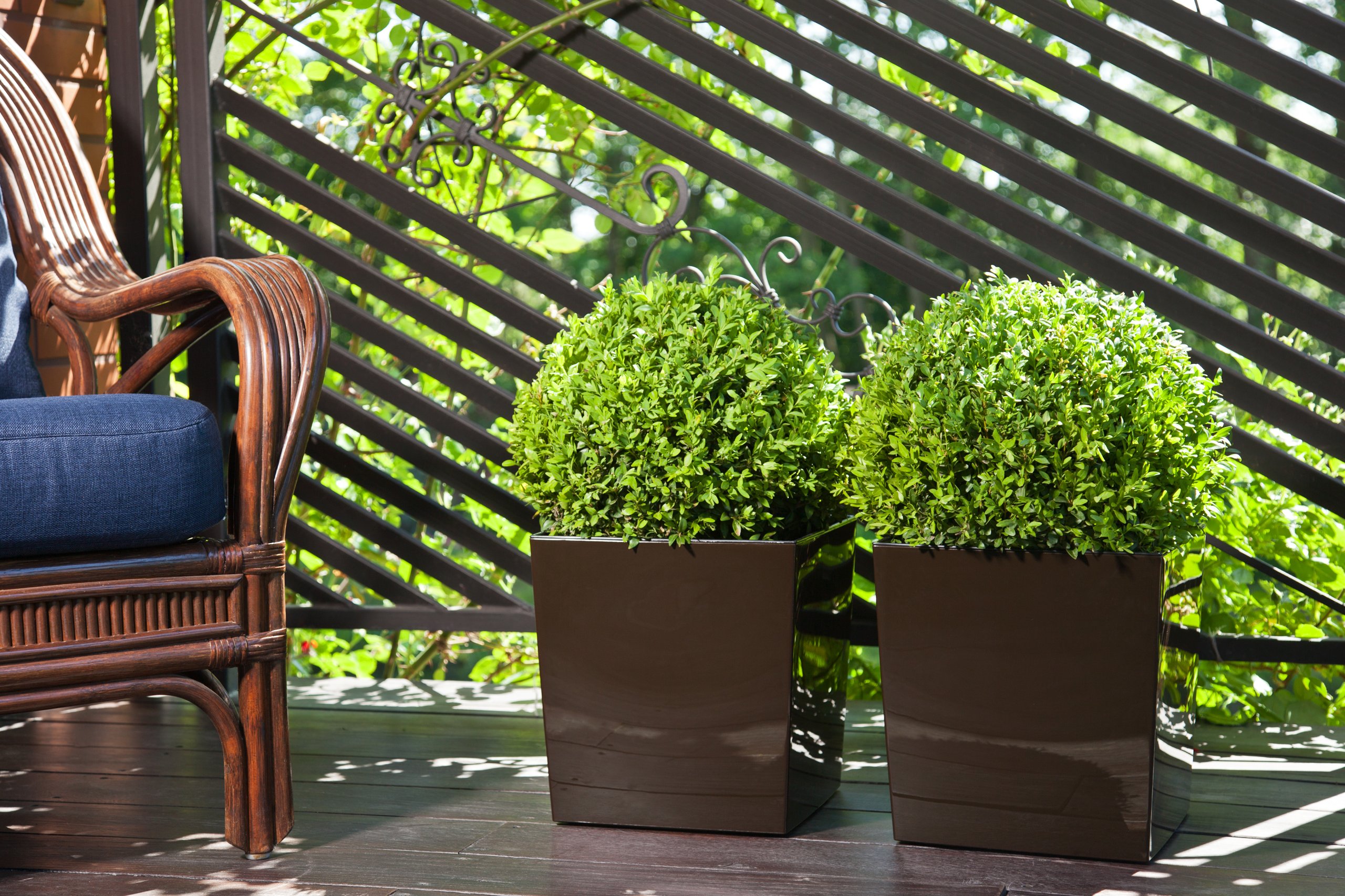 DONICA LAMELA JUKA 30x30 h31 Z WKŁADEM BIAŁA Długość 30 cm