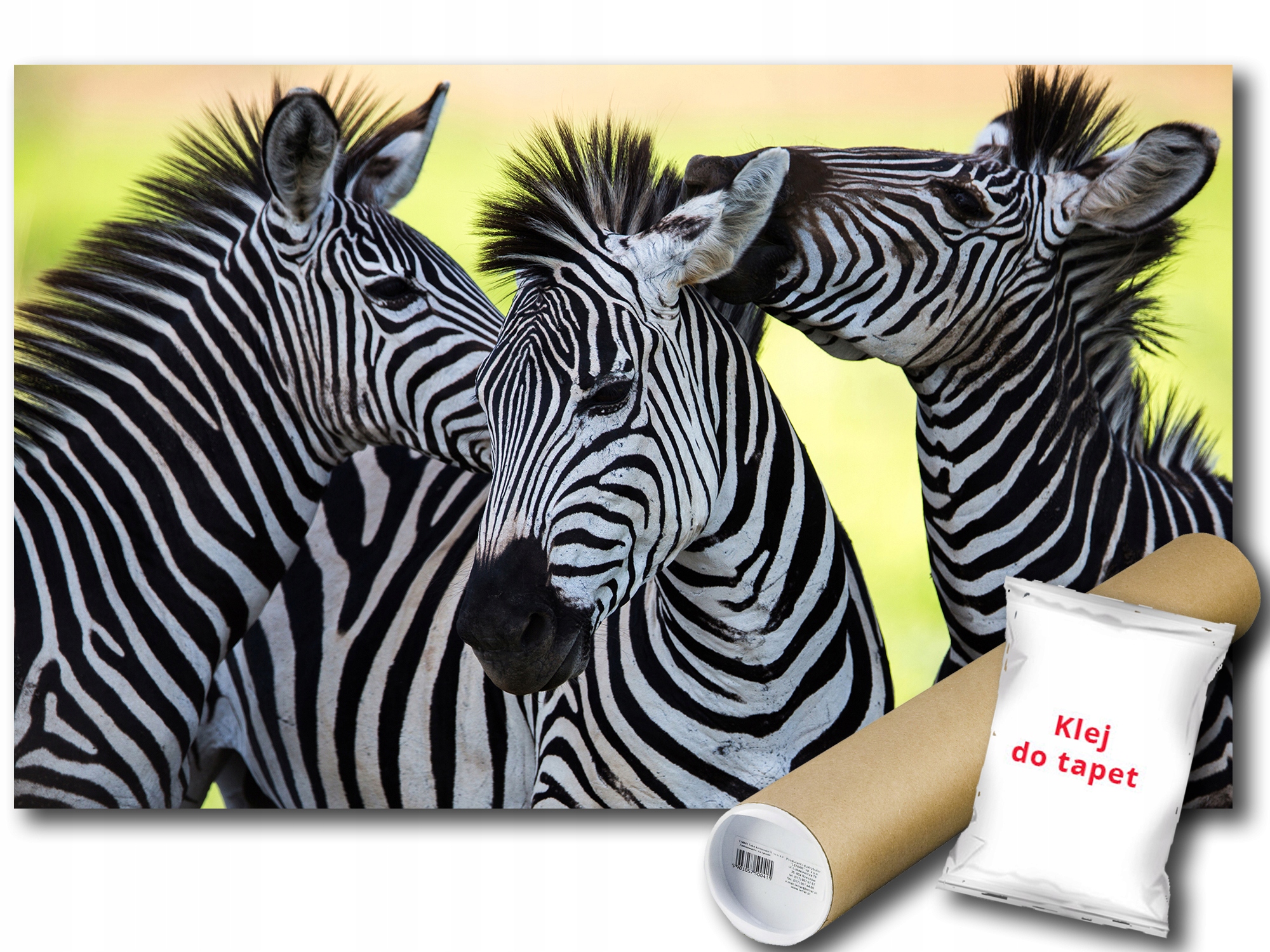 Fototapeta Zebra Zebry 12C F3XL 416x254 F3624