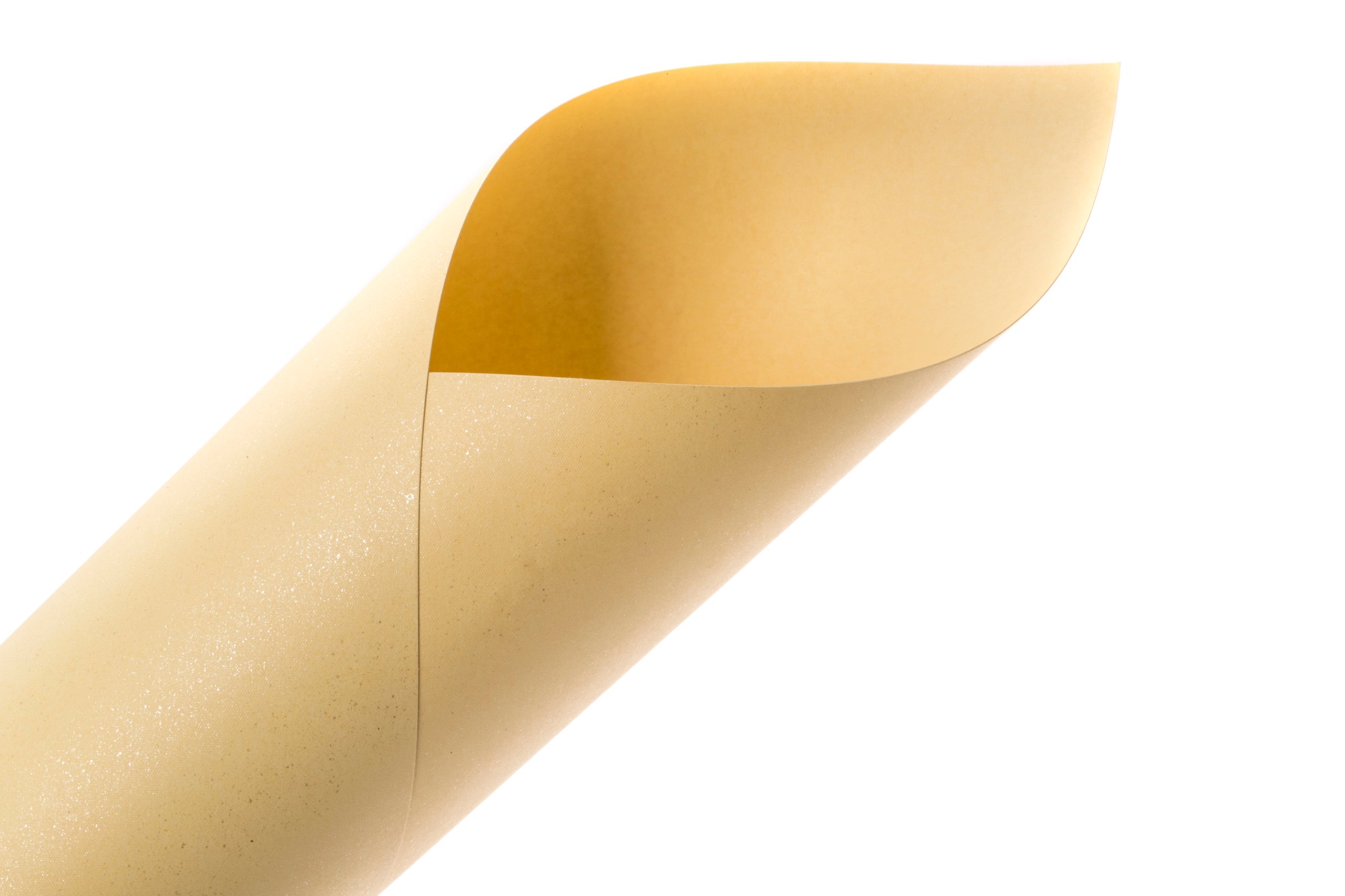 

Papier Mika Ecru Z Brokatem Drobinkami 10ark 240g