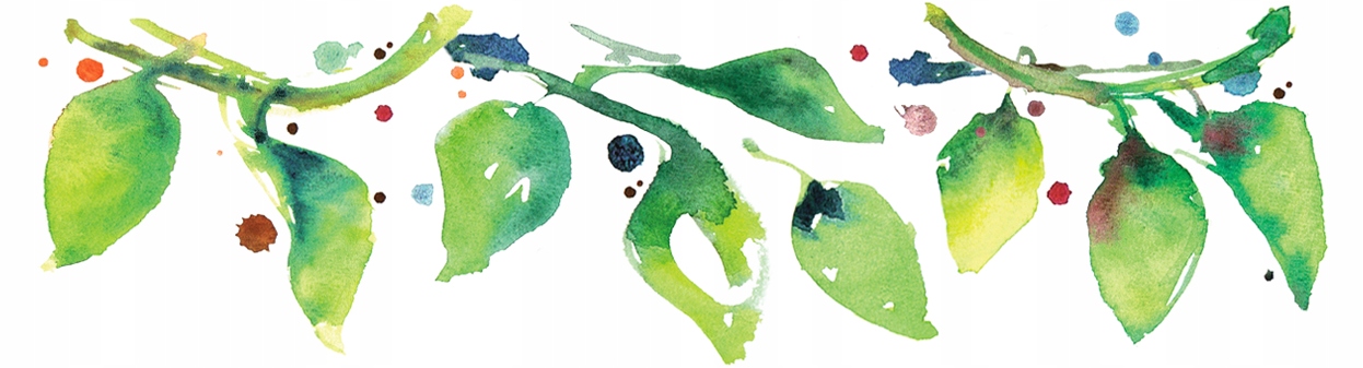 EKOLOGICZNE RODZYNKI SUŁTANKI 500g Batom BIO Postać całe owoce