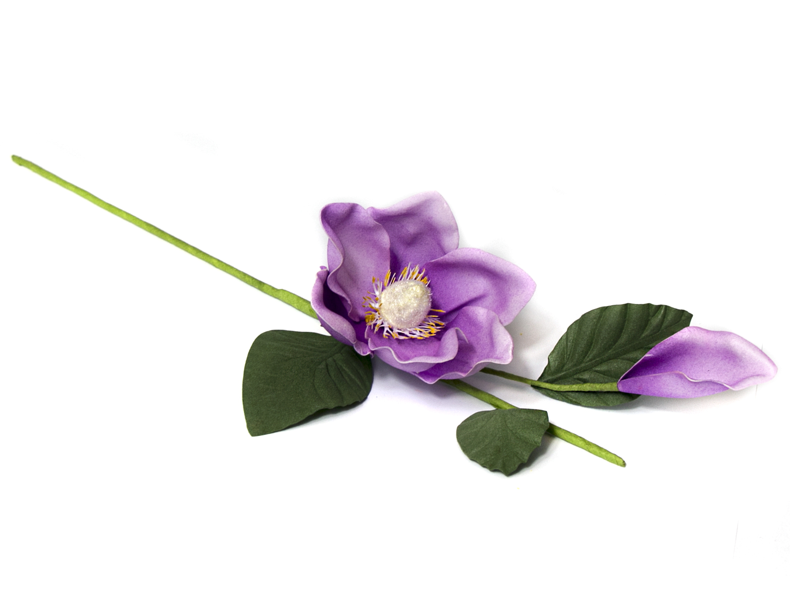 

Magnolia Piankowa Gałązka Jasny Wrzosowy 50cm