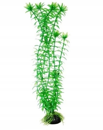 

Anacharis 10 CM Sztuczna Roślina Do Akwarium