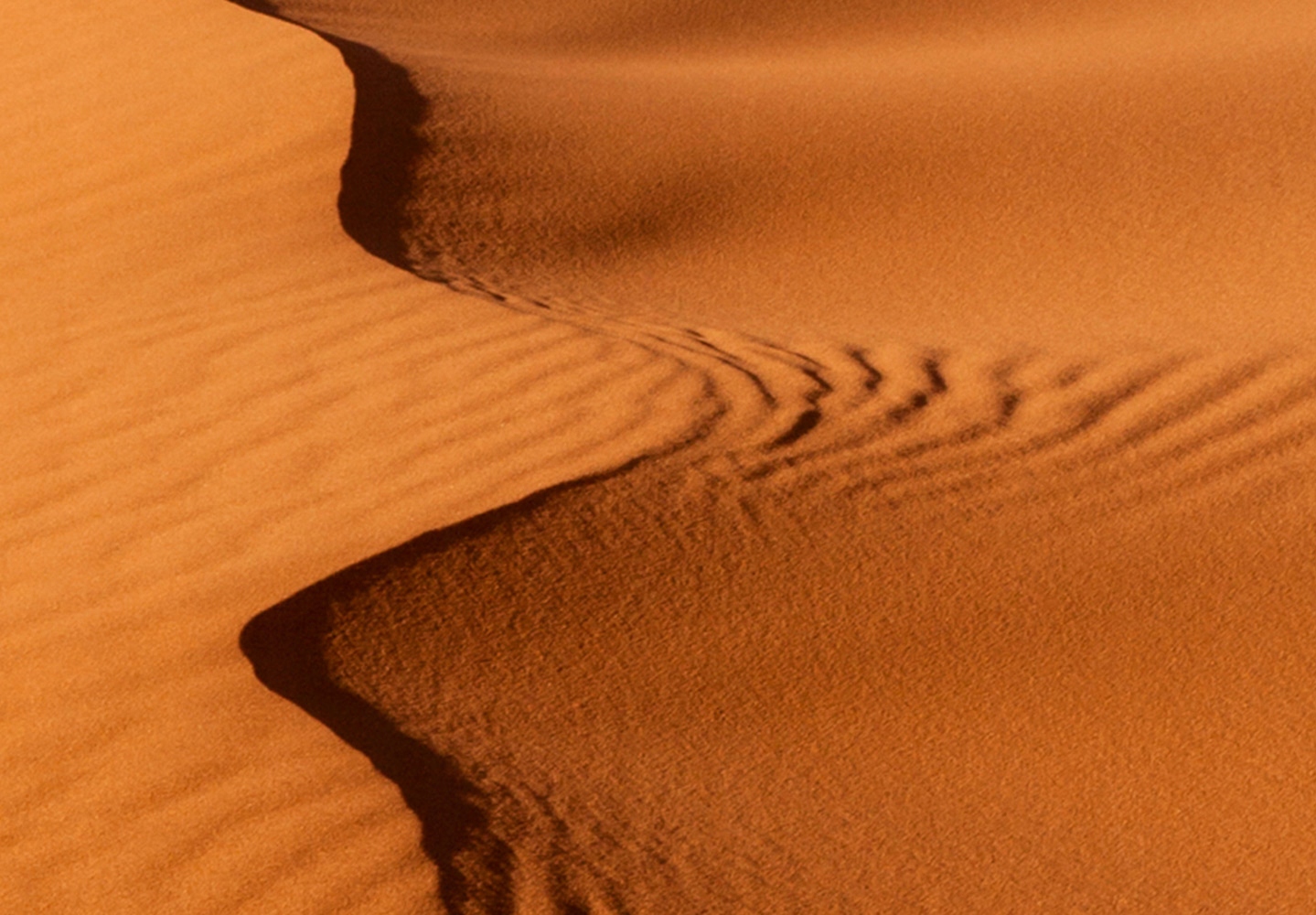 OBRAZ TRYPTYK PUSTYNIA 120x60cm n-B-0037-b-e Sposób wykonania druk cyfrowy