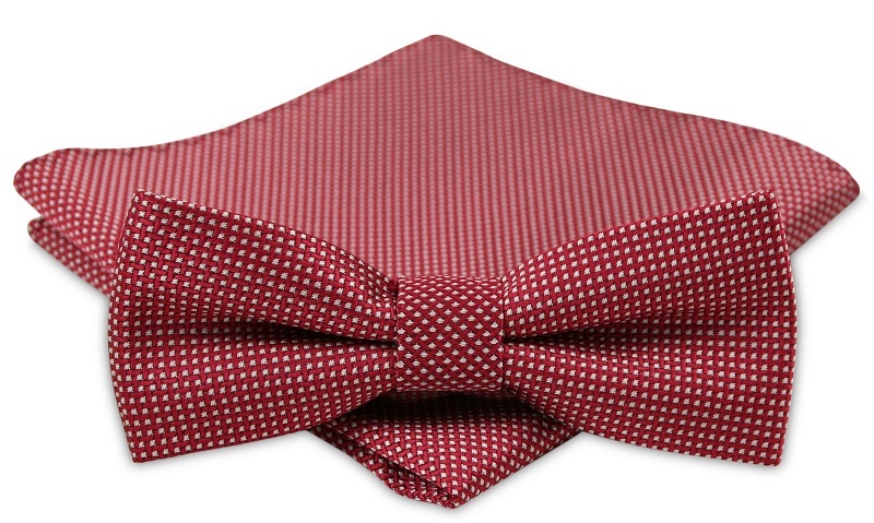 Modna mucha z poszetką - Alties