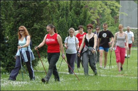 VIKING Rock MARKOWE KIJE Nordic Trekking ReguloWa Model Rock