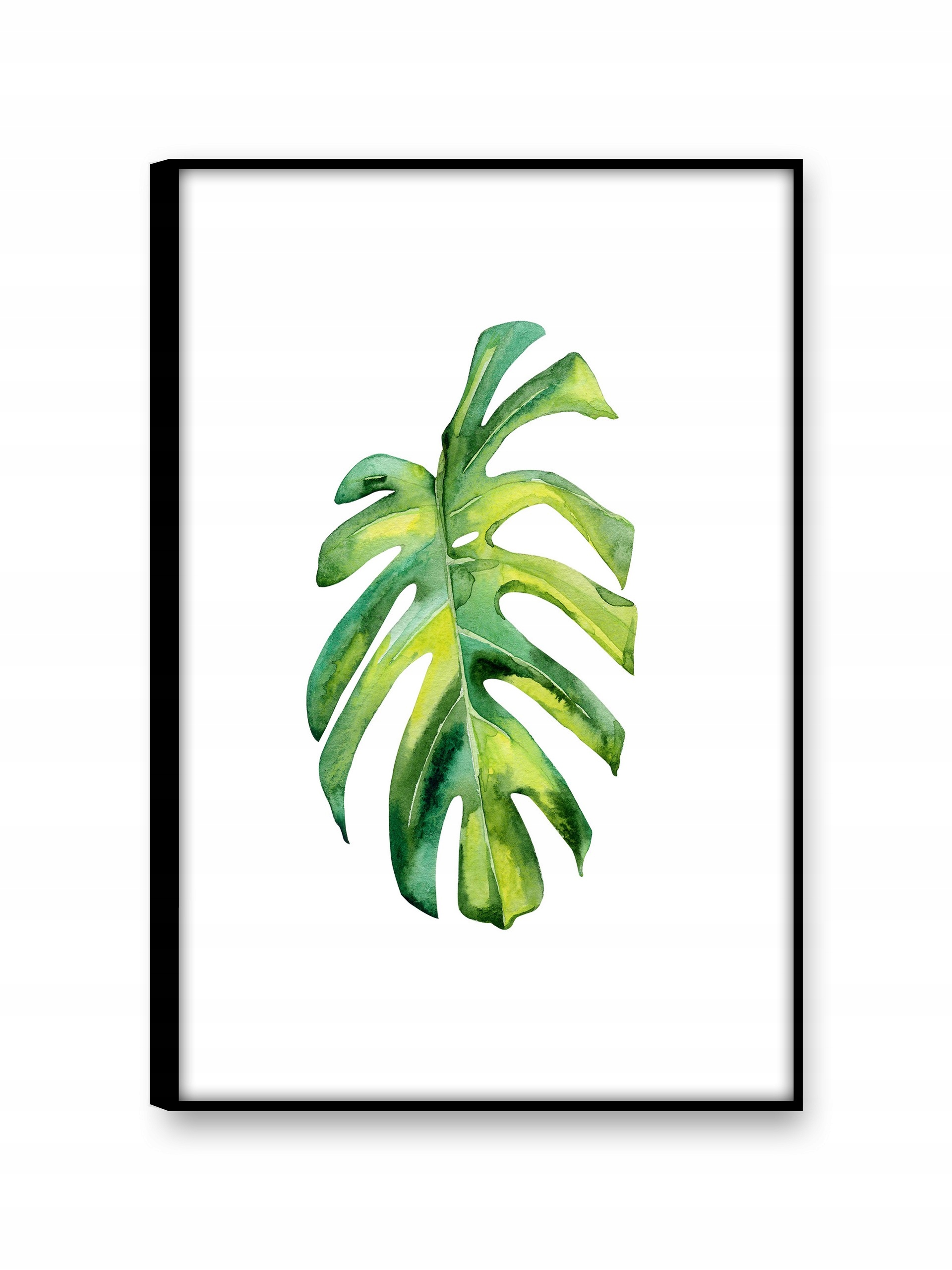 

Monstera Obrazy na płótnie 30x45 Obraz nowoczesny