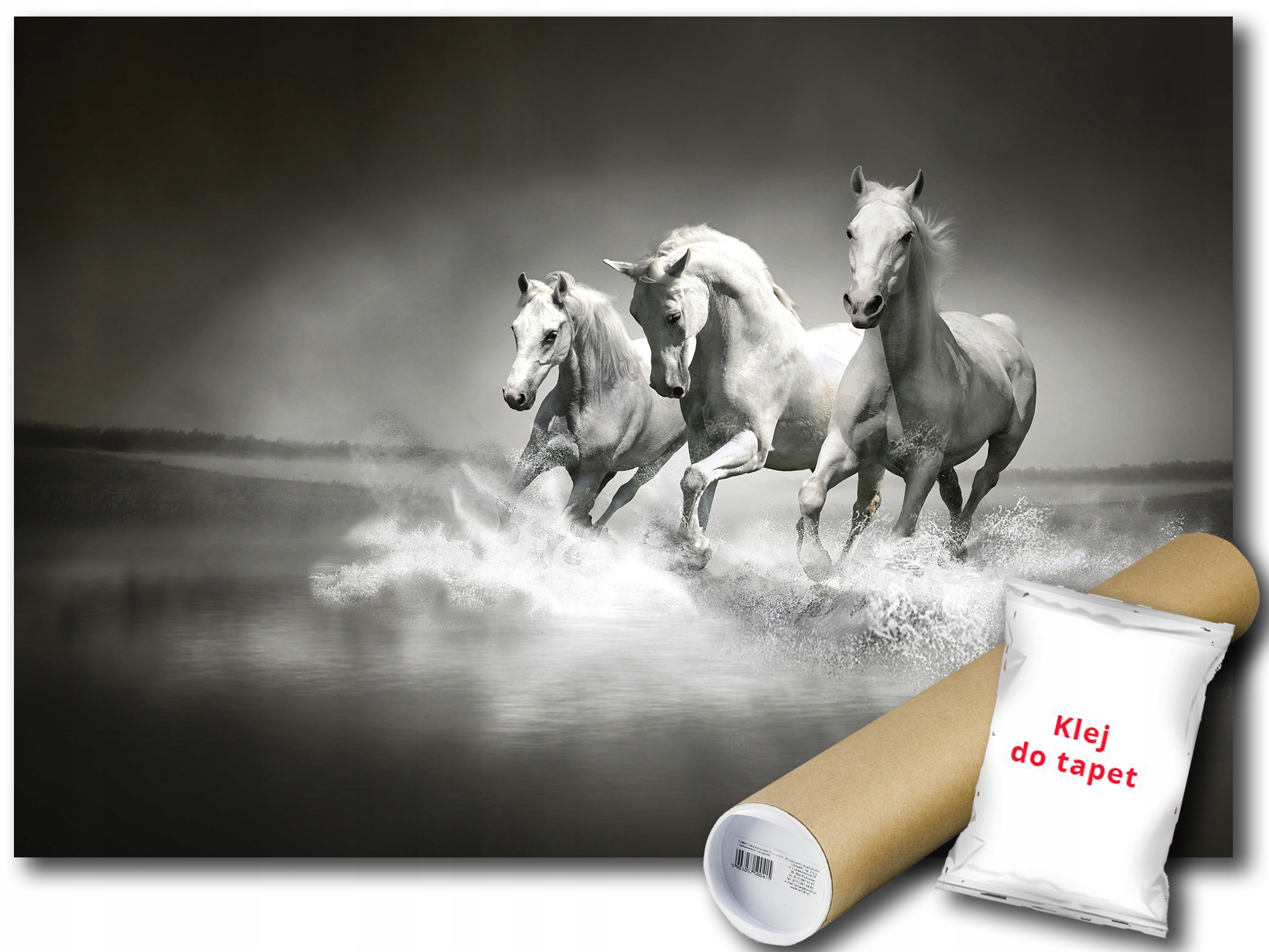 Fototapeta Koně Galop 12B V8 368x254 F426