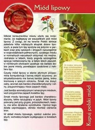 

Broszura informacyjna Miód Lipowy ul pasieka