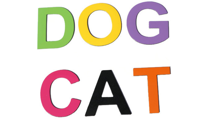 Literki Magnetyczne MagWords, Alfabet Magnetyczny Autor Piotrowski Mariusz